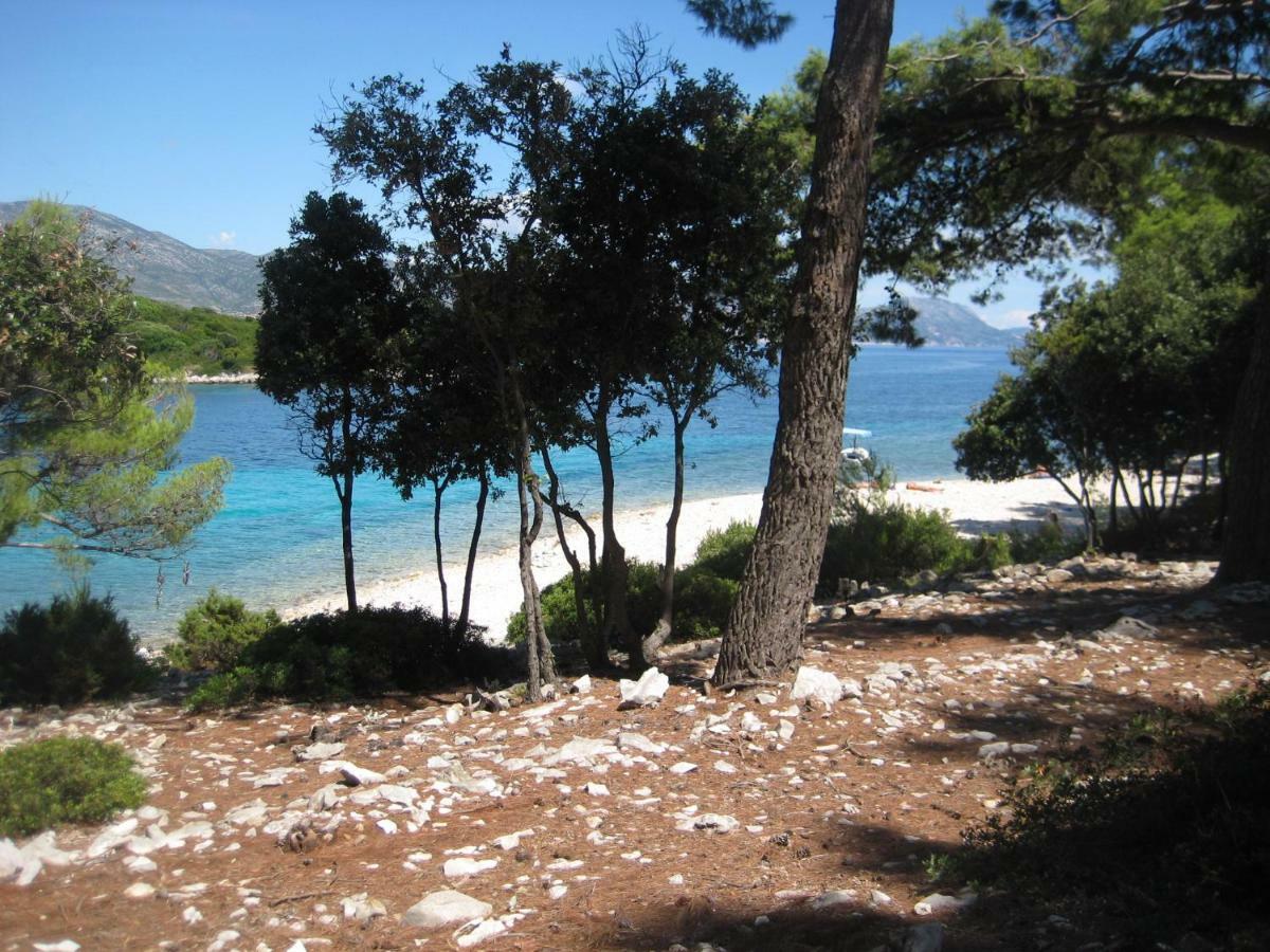 Apartment Korcula Town *